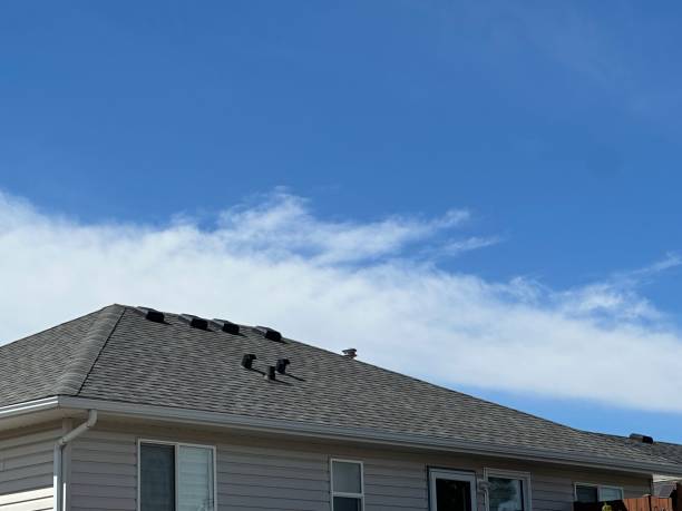 Trusted Jasper, FL Roofing Services Experts